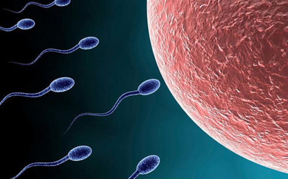 Trứng được thụ tinh là nguyên nhân ra máu khi mang thai